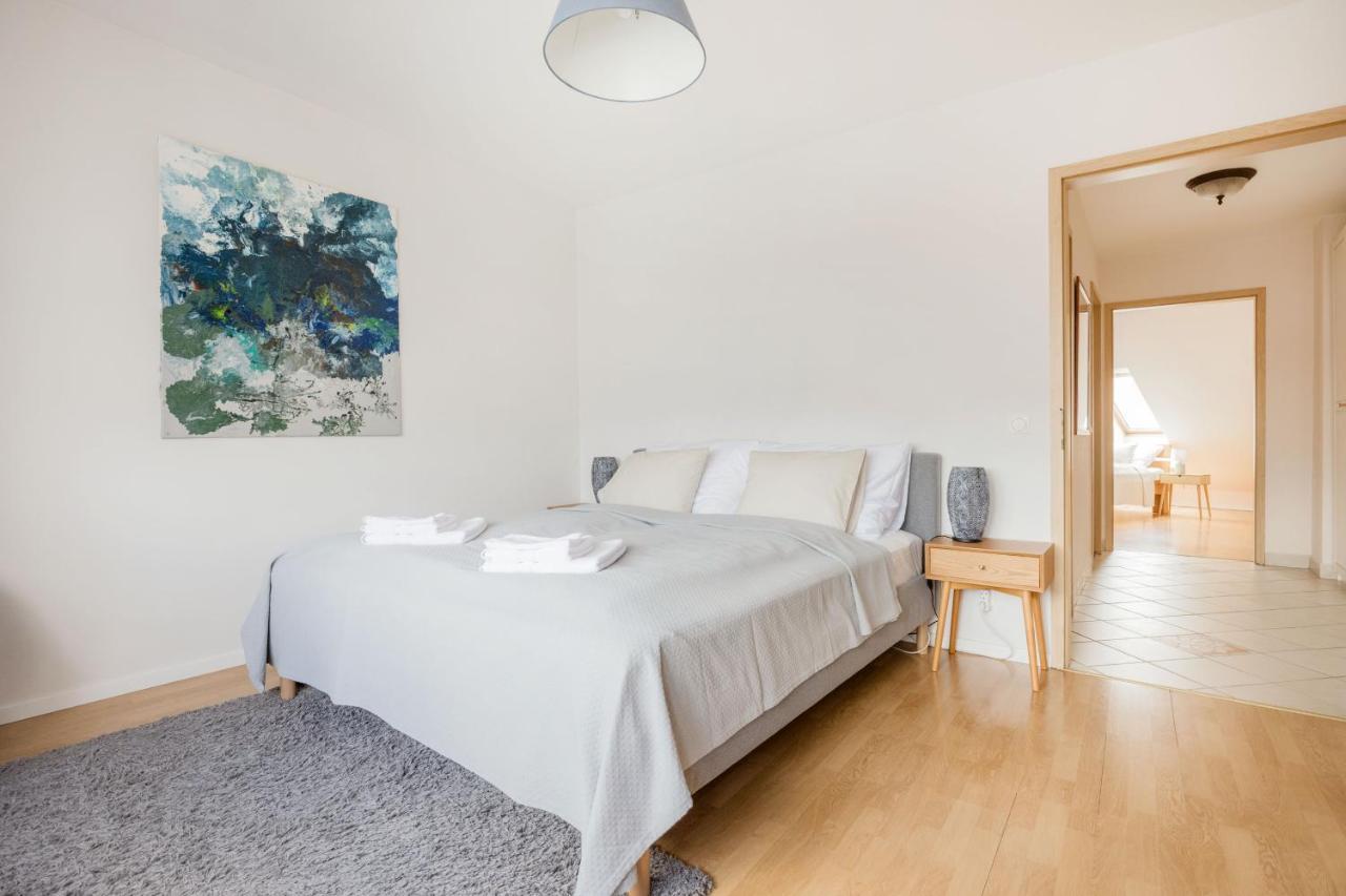 בודפשט Bright And Spacious Penthouse W/ Terrace & Parking מראה חיצוני תמונה